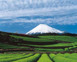 我が町自慢