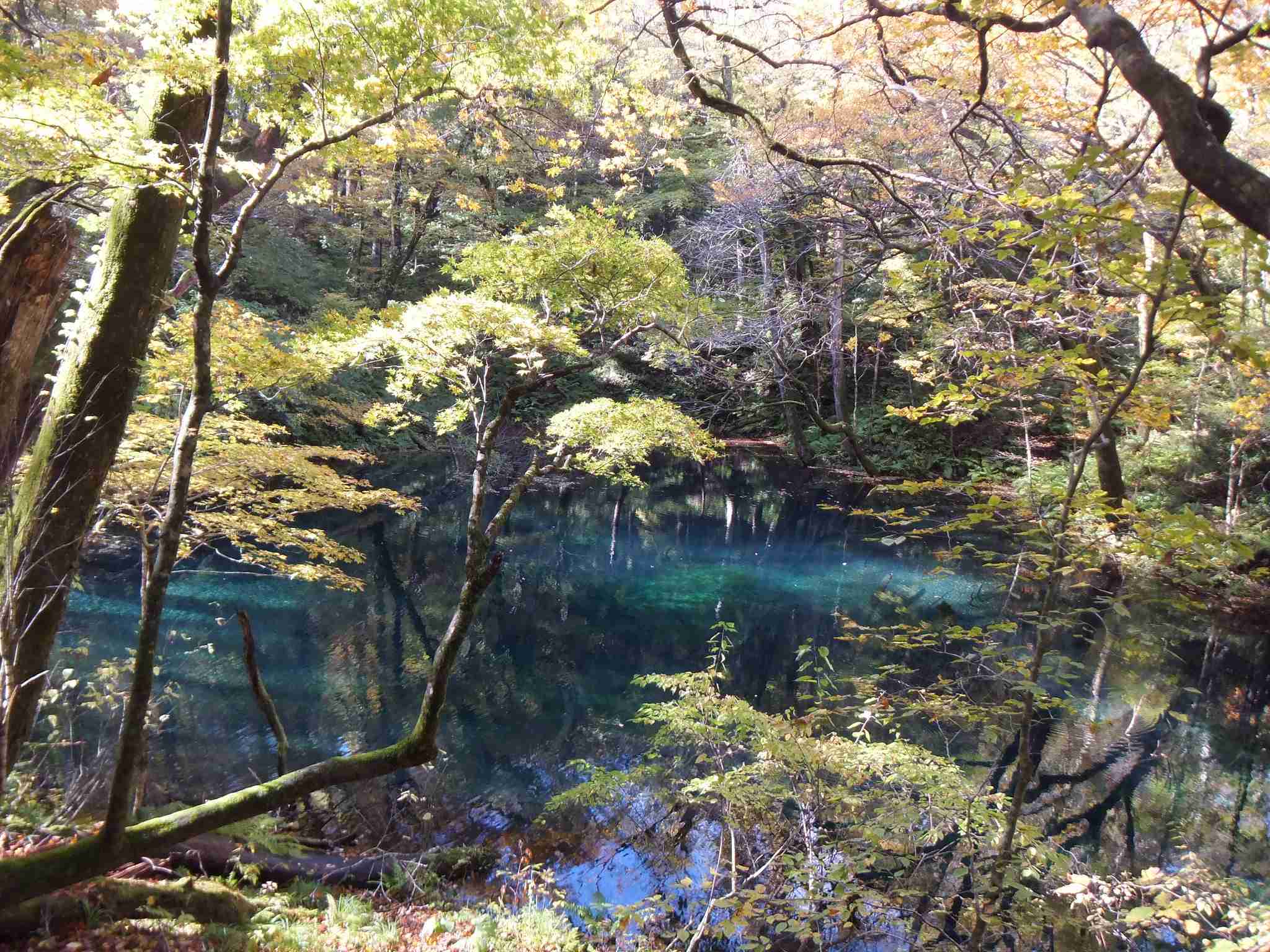 日本とは思えない風景を貼るトピ