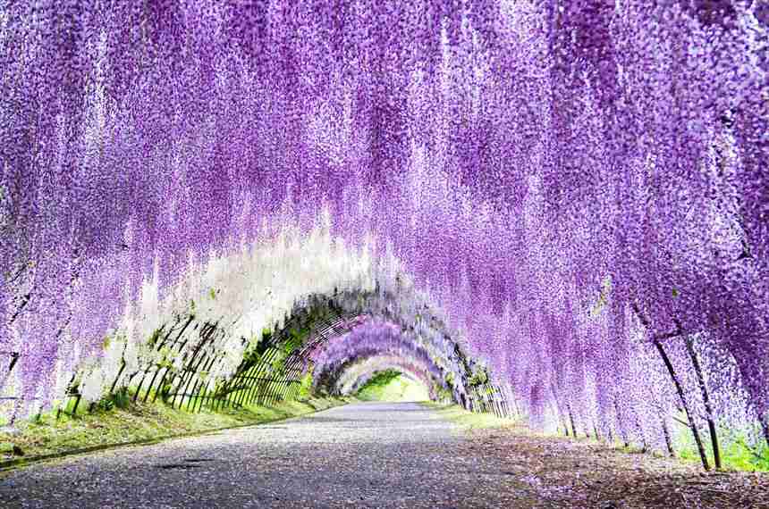 日本とは思えない風景を貼るトピ