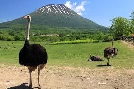 日本とは思えない風景を貼るトピ