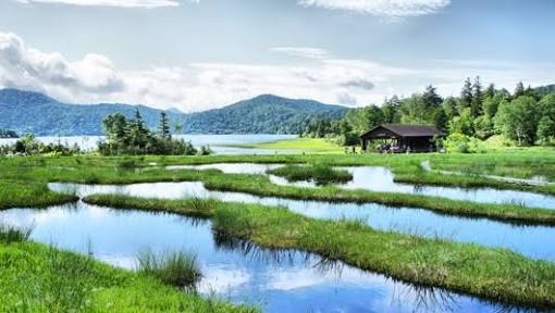日本とは思えない風景を貼るトピ