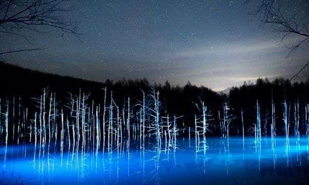 日本とは思えない風景を貼るトピ