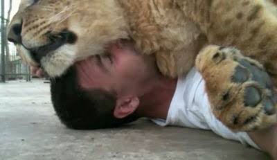 ネコを飼うのを諦めさせて下さい