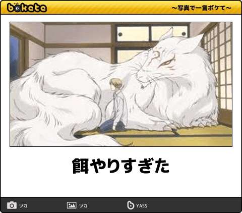 ネコを飼うのを諦めさせて下さい
