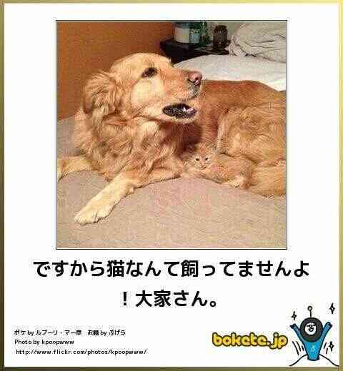 愛情たっぷりの画像待って〼