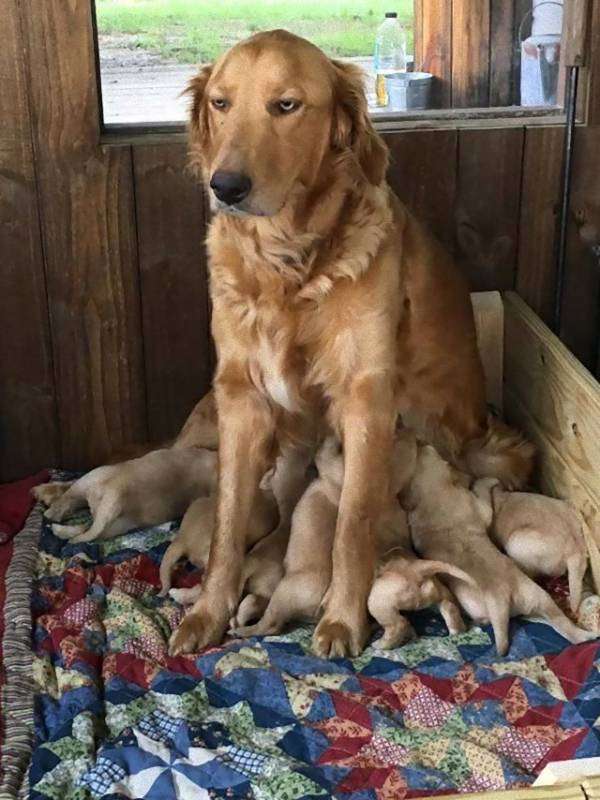 愛情たっぷりの画像待って〼