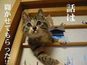 愛情たっぷりの画像待って〼