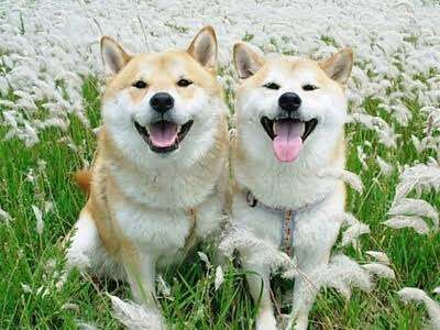 愛情たっぷりの画像待って〼