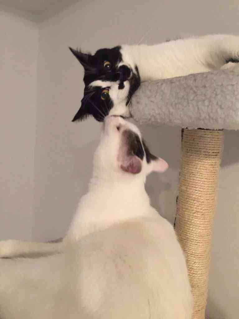 愛情たっぷりの画像待って〼