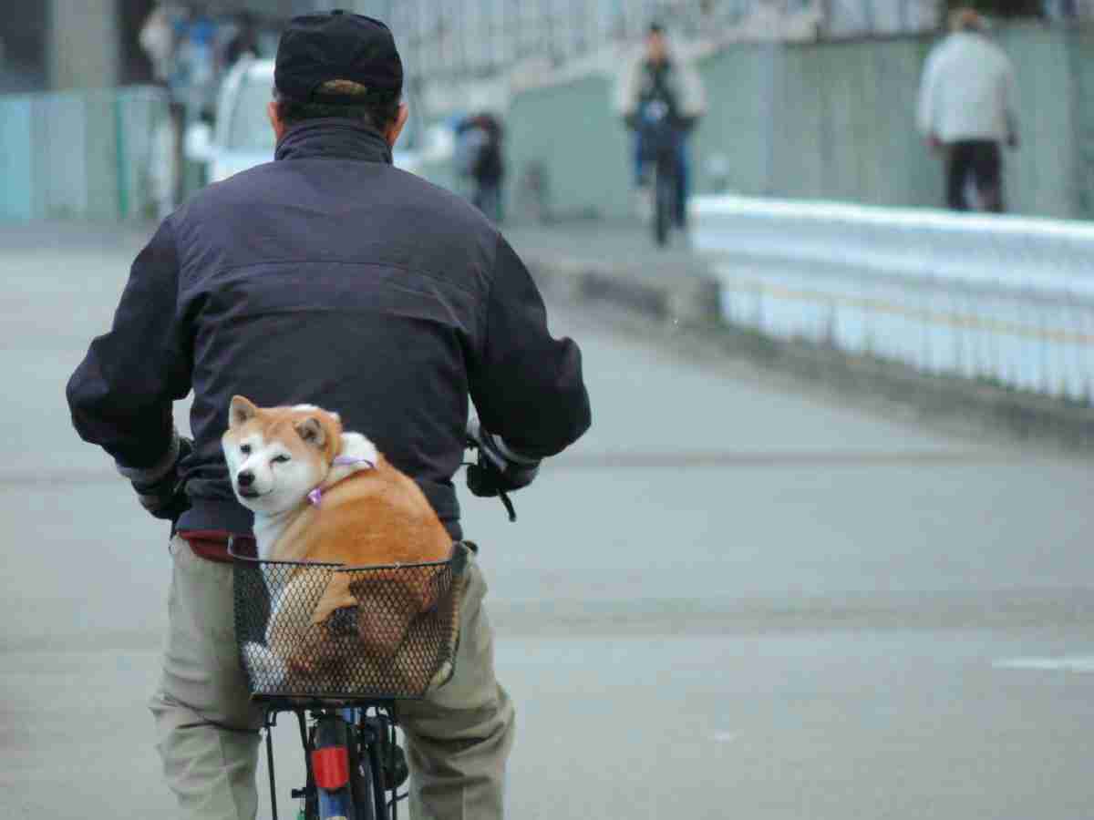 愛情たっぷりの画像待って〼