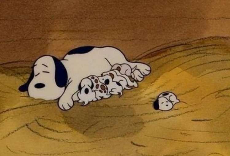 愛情たっぷりの画像待って〼