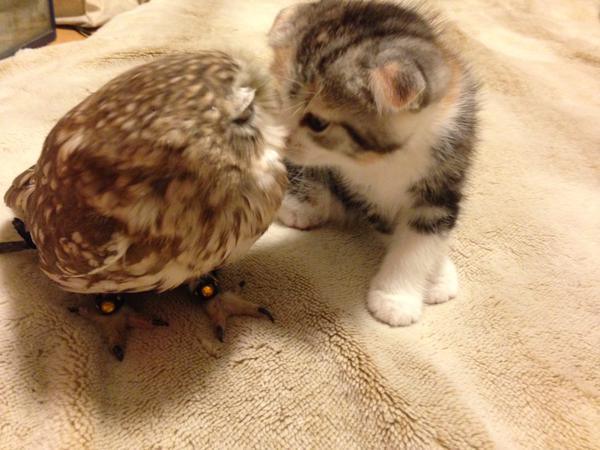 愛情たっぷりの画像待って〼