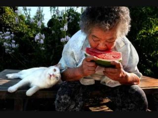 愛情たっぷりの画像待って〼