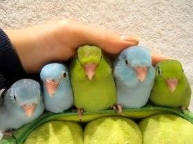 愛情たっぷりの画像待って〼
