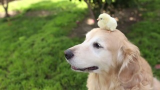 愛情たっぷりの画像待って〼