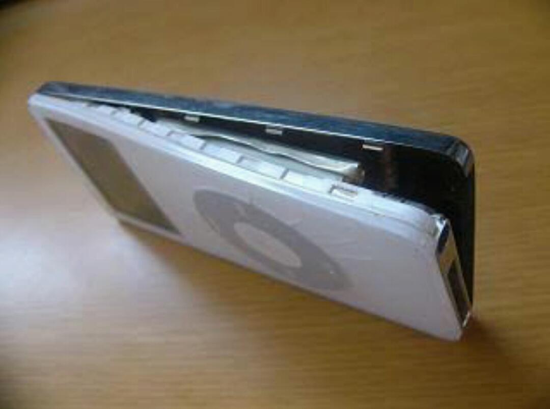 東京ディズニーランドで携帯電話の充電器が爆発 ショー中止に