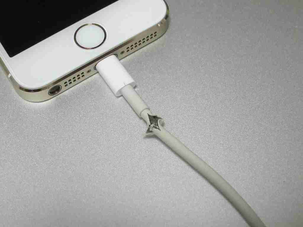 東京ディズニーランドで携帯電話の充電器が爆発 ショー中止に
