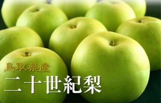 各都道府県の美味しいスイーツ教えて！