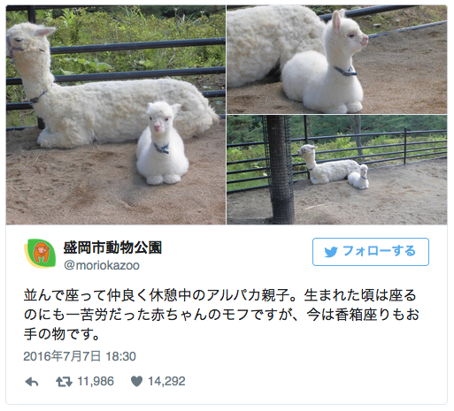 今あなたの隣に誰でも来てくれるとしたら誰を呼ぶ？