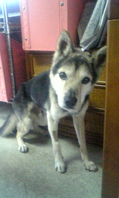 今あなたの隣に誰でも来てくれるとしたら誰を呼ぶ？