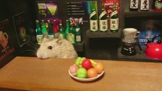 淡々と明日やることを書くトピ