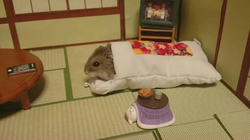 淡々と明日やることを書くトピ