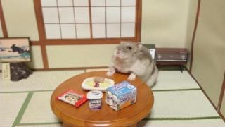 淡々と明日やることを書くトピ