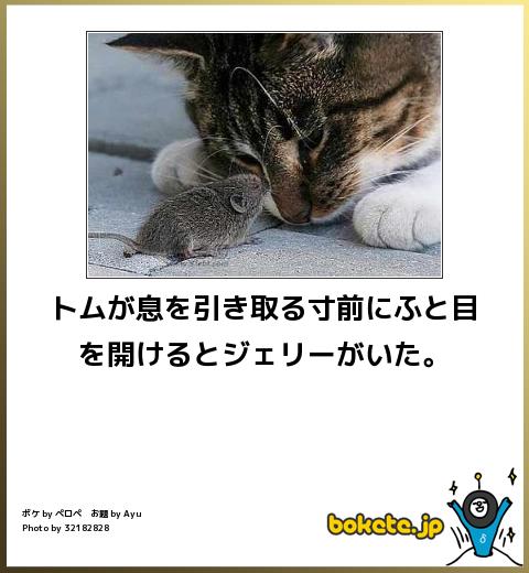 『トムとジェリー』あるある