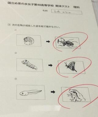 絵が上手いと思う芸能人&絵が下手だと思う芸能人