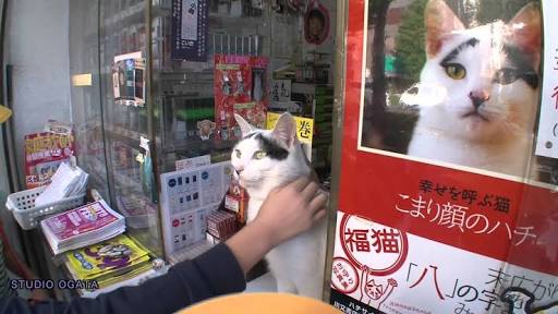 いつも見てる朝と夕方の番組