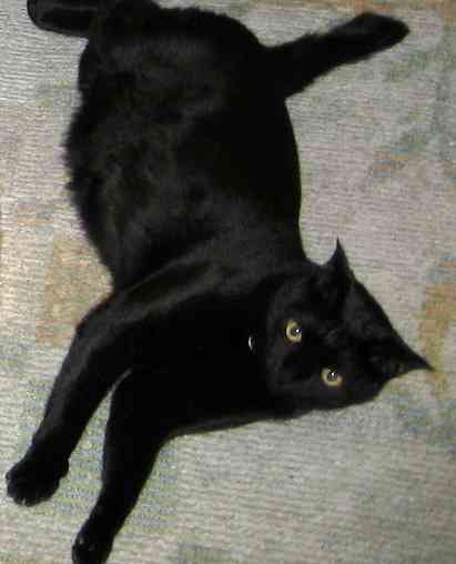 三代目JSB登坂広臣と熱愛報道のローラ、配慮に欠けた行動でファン離れが加速