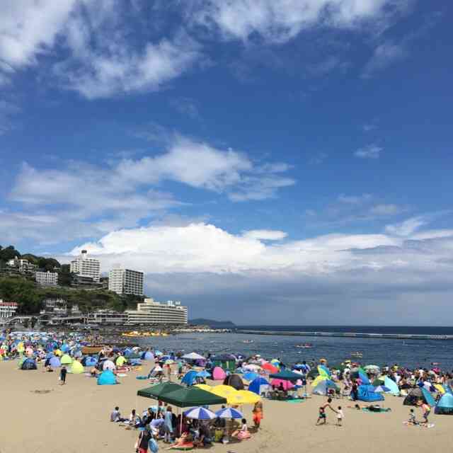 今年、海、行った？