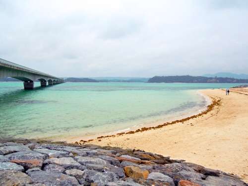 今年、海、行った？