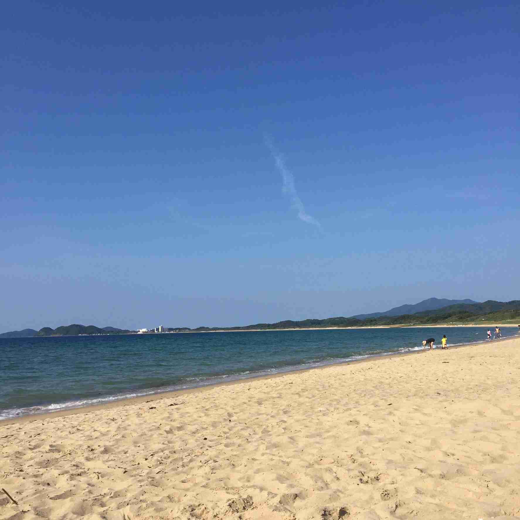 今年、海、行った？