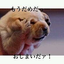 雑談ジプシーが集まる場所