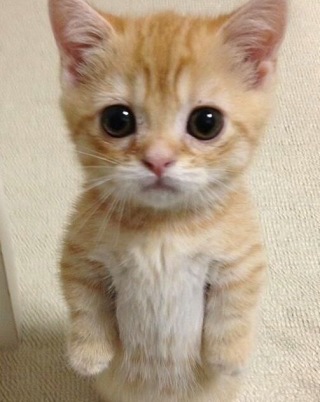 雑談ジプシーが集まる場所