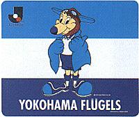 地元のサッカーチームを応援している人