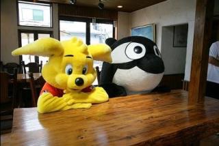 地元のサッカーチームを応援している人