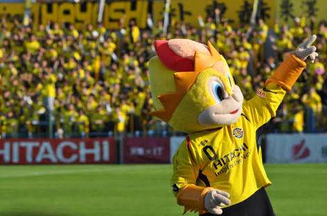 地元のサッカーチームを応援している人