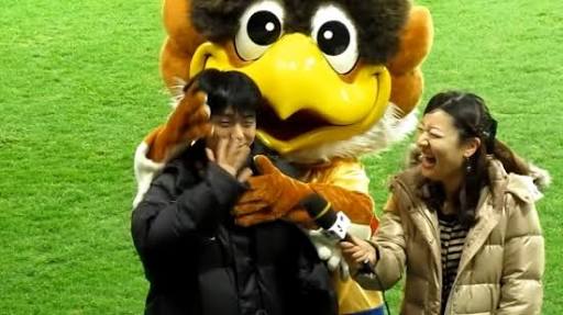 地元のサッカーチームを応援している人