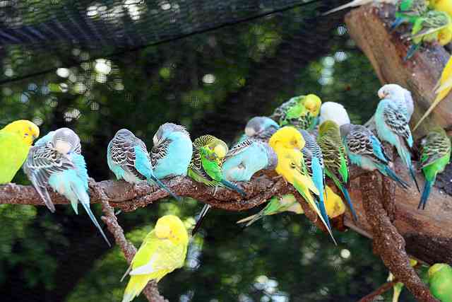 【画像】眠っている動物たち