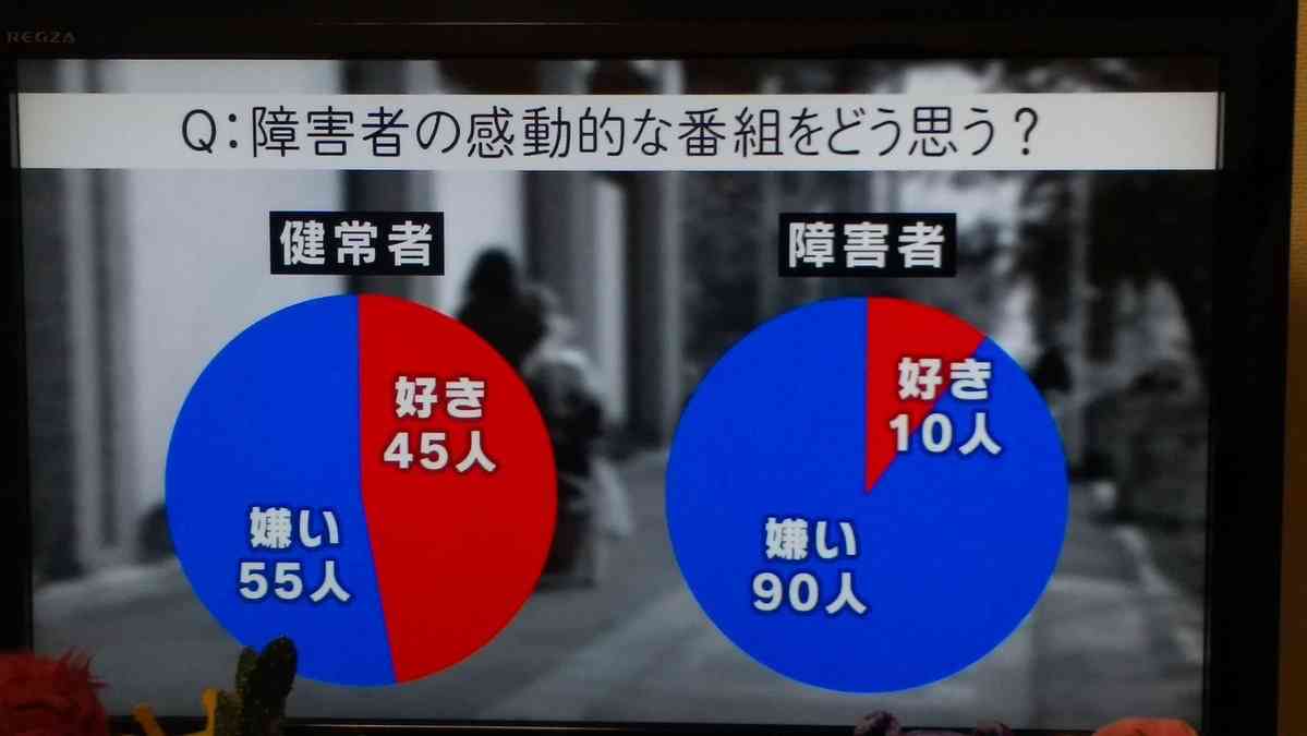 24時間テレビ、両足マヒの子どもが富士山登頂 → 途中で怒鳴られてブン殴られる映像が流れる 視聴者ドン引き