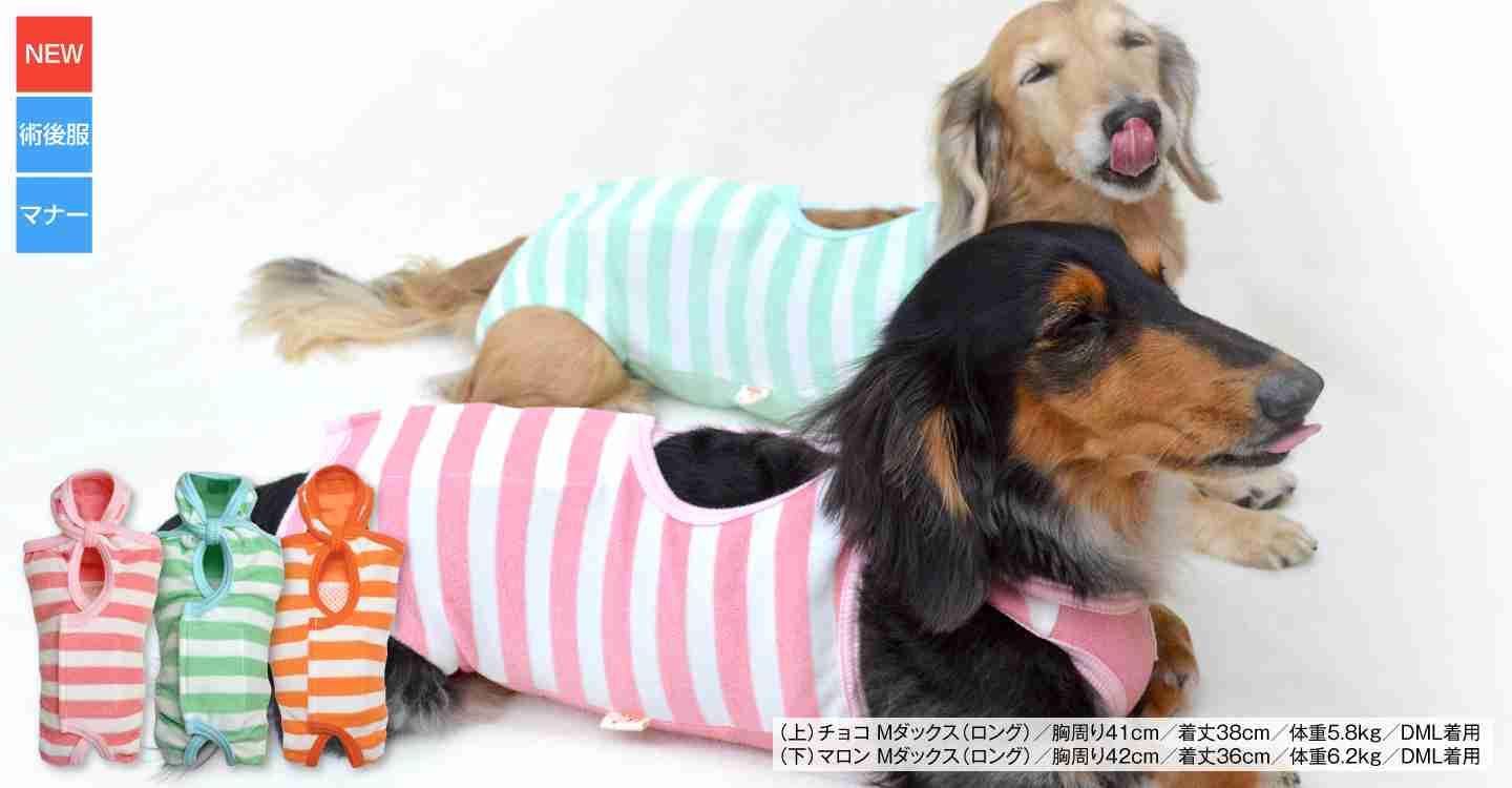 ペット中心の生活を送っている方！