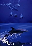 皆さんの生涯best1の海外ドラマを教えて下さい！