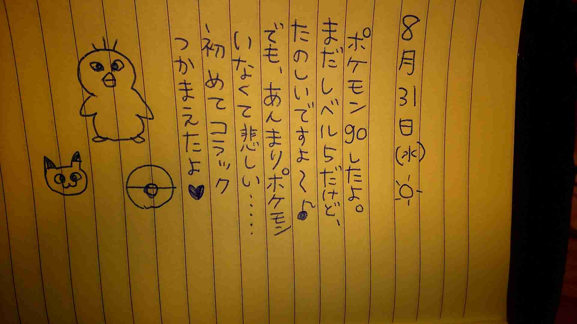 8月の絵日記を描くトピ