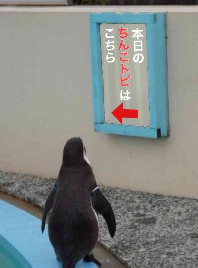 ちょっとエッチだけど笑える思い出
