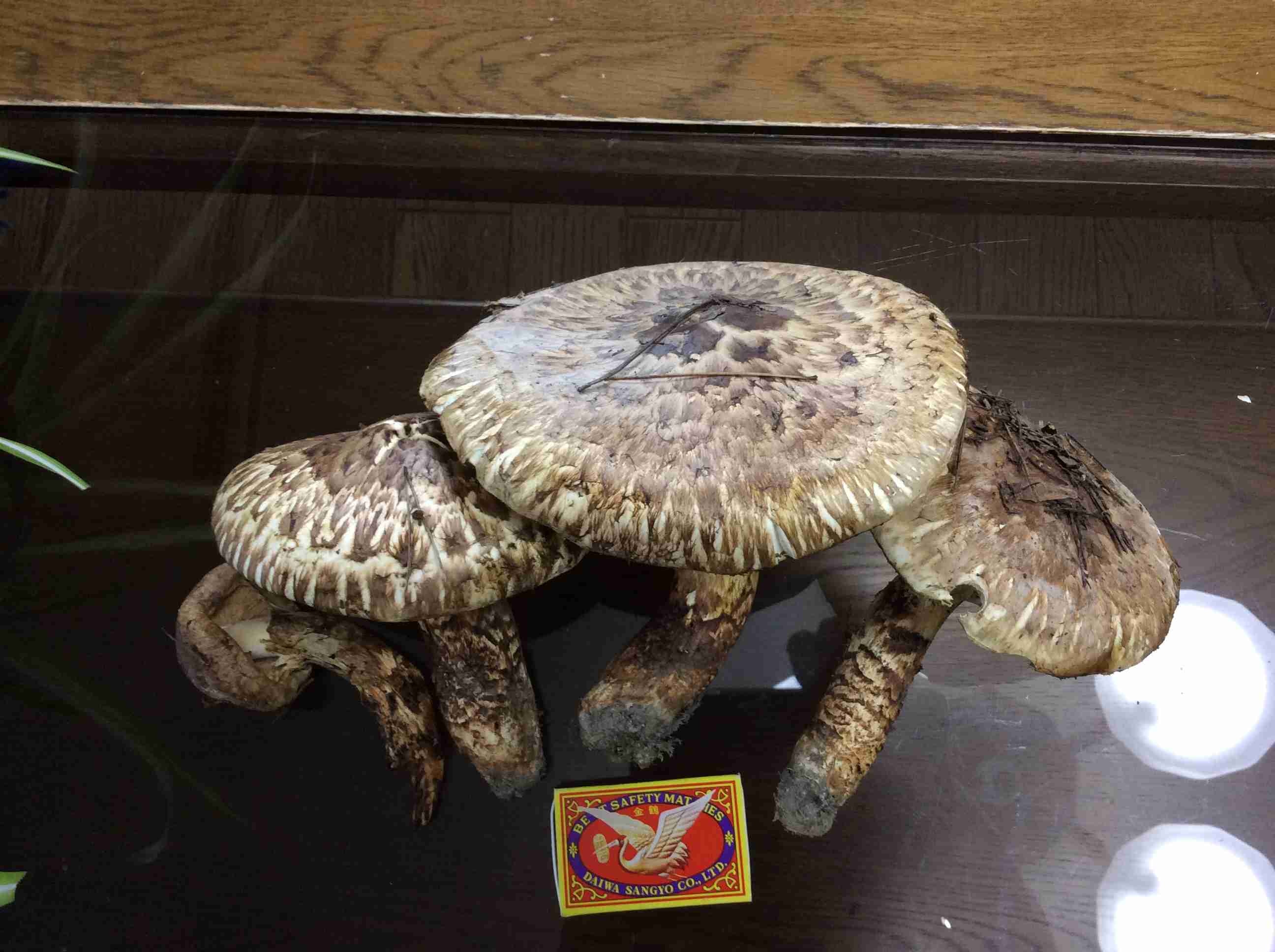 高級といわれる食材が苦手な人