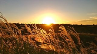 夏も終わりだな…って思う時はどんな時？