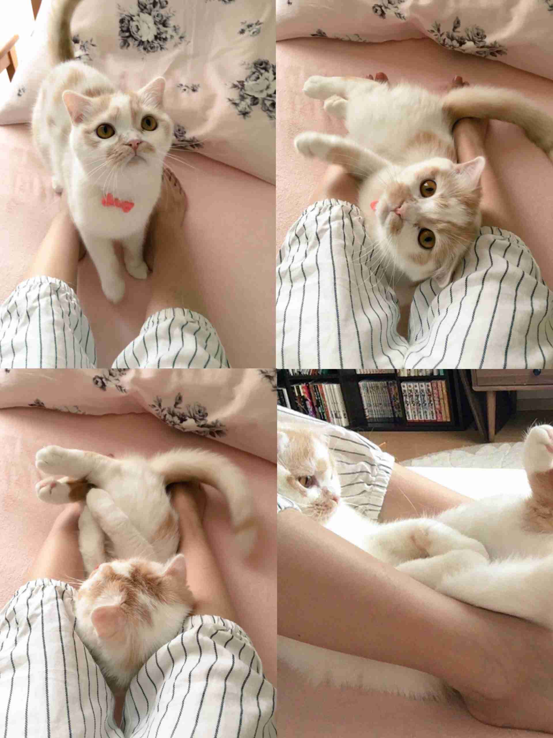 親愛なるガルちゃん民へ