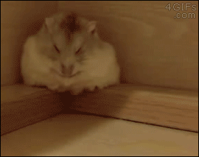 親愛なるガルちゃん民へ